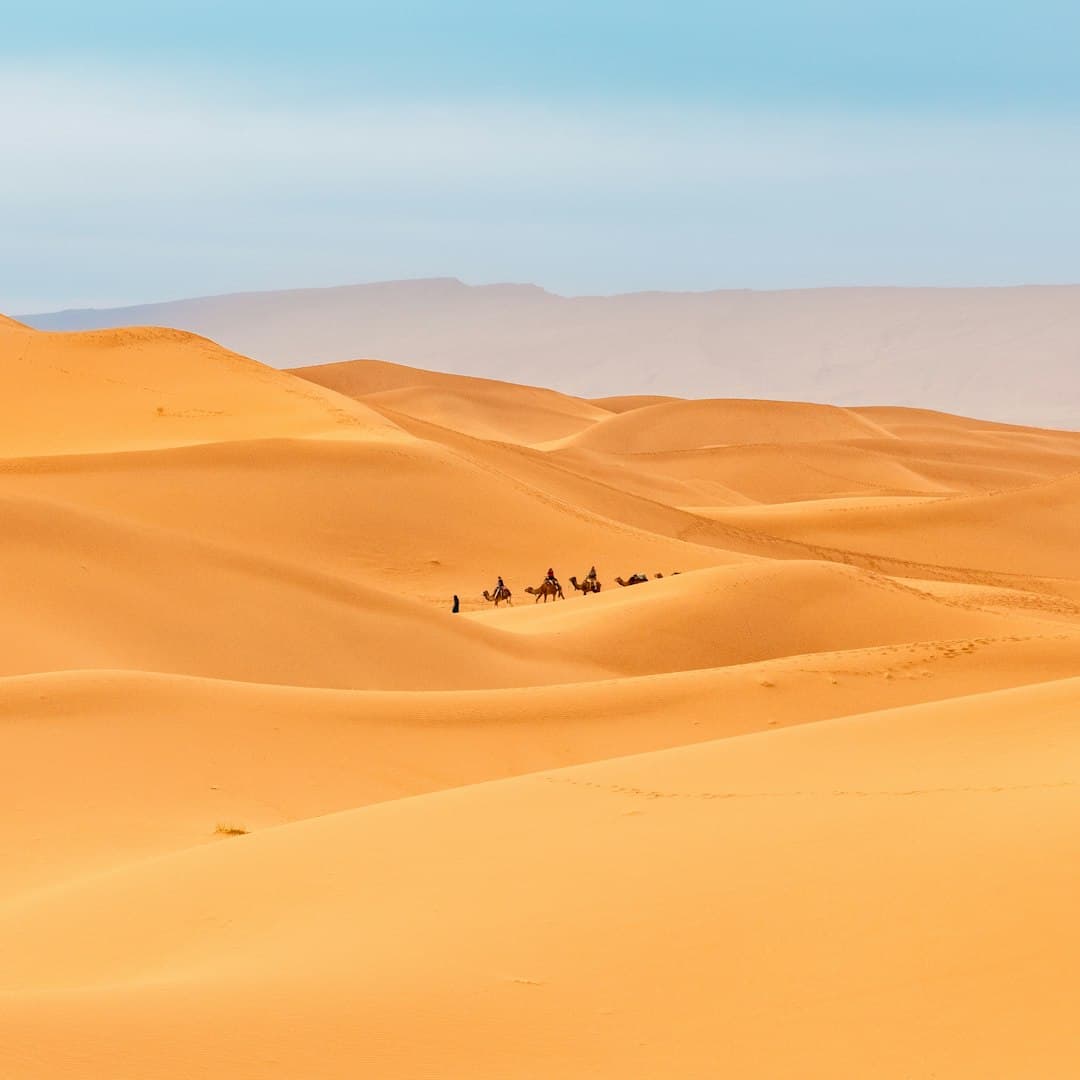 Sahara Algerien: Trek et Decouverte