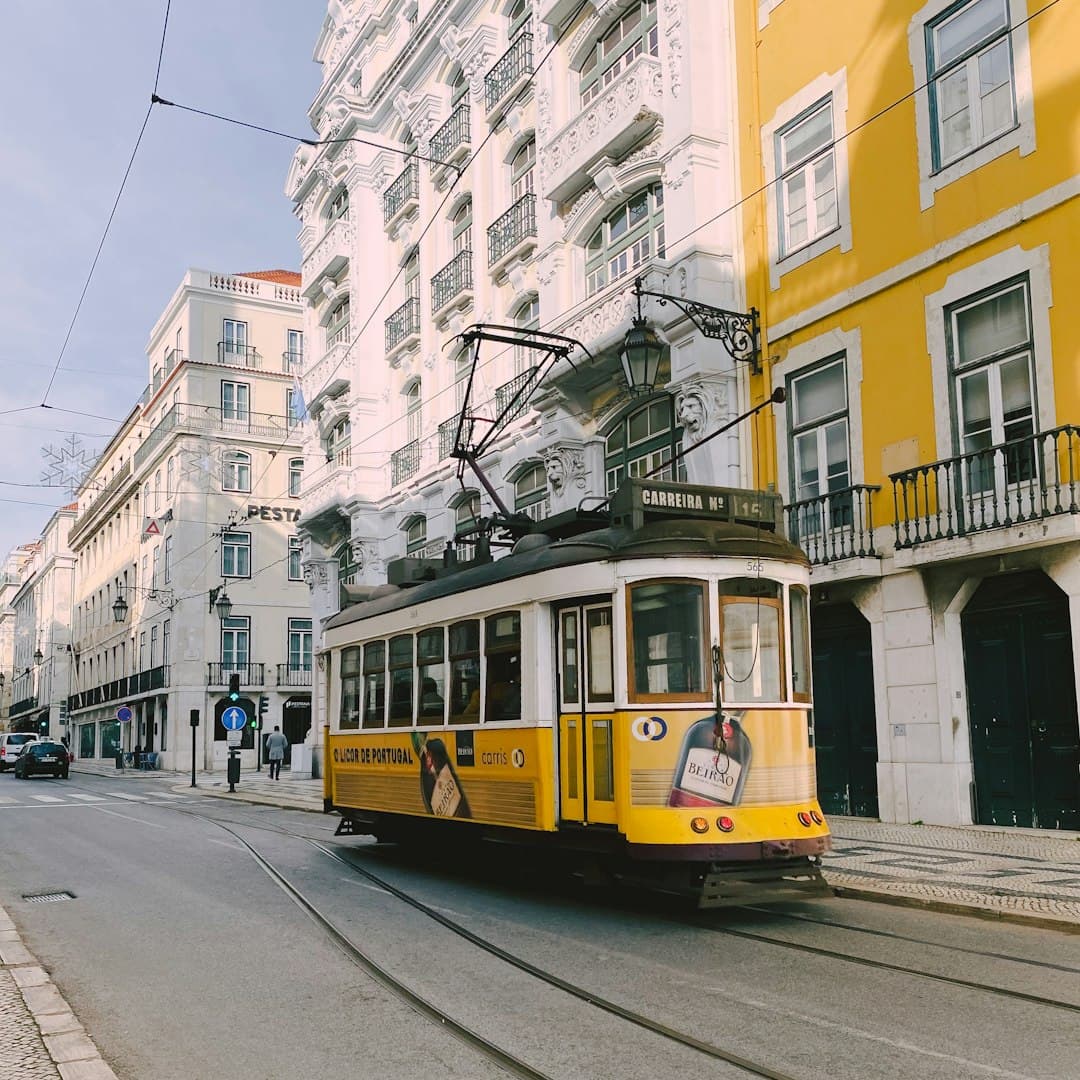 Lisbon Free Walking Tours 🇵🇹🚶‍♂️